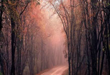 征途国际官网:尹波:汉堡50万欧元求购王钰栋?想起谢文能留洋比甲.