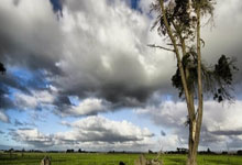 亚残运赛艇：在背向而行的航道上 聚力“艇”过终点线央视体育.