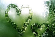 蒿俊闵今天迎来38岁生日,曾留洋沙尔克04并在欧冠有过出场.