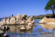 征途国际官网：[天下足球]哈兰德进球 曼城主场战平布莱顿.